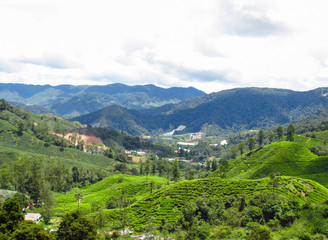 Fototapeta na wymiar Landscape panorama view of field on mountain