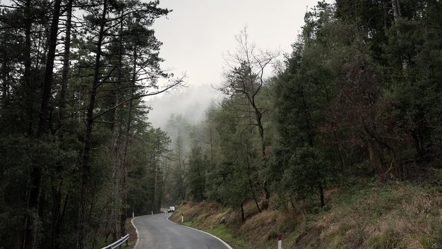 Time-lapse of the road in the forest on a foggy day