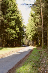 Obraz premium Country road through the forest