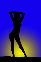 Fototapeta na wymiar silhouette of woman in bikini hips to side