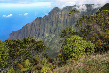 Pu`u o Kila Lookout