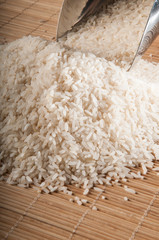 Concept of food in the world