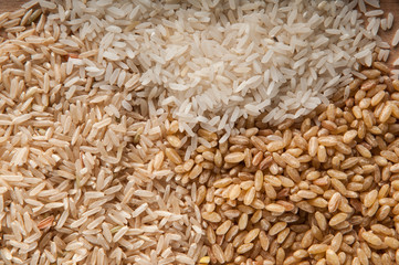 Different types of rice