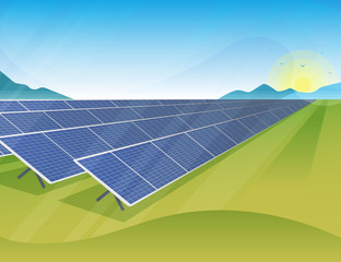 Solar panels farm in green fields during sunrise