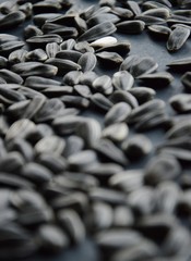 Obraz premium sunflower seeds