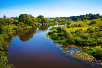 Fototapeta na wymiar River with thickets of trees and shrubs along the banks. Bright sunny summer day. Surface of the water with the reflection of blue sky. Rural landscape.
