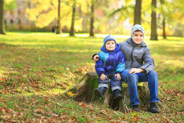 A group of boys in the Park. sitting on a stump. Laugh. Autumn.