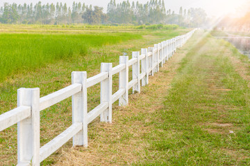 Fototapeta na wymiar white fence in farm