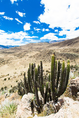 landscape of  Peru