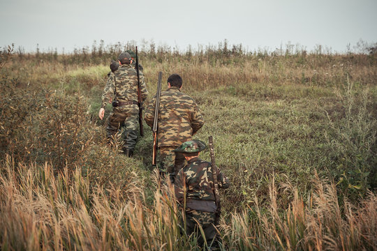 group of hunters going up in the early morning in a rural field through the tall grass during hunting