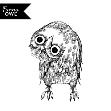 funny owl character