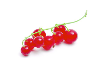 red currants on a white background