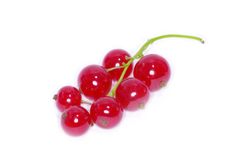 red currants on a white background