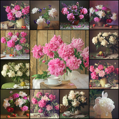 Still lifes with bouquets of peonies.
