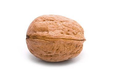 walnut isolated on a white background