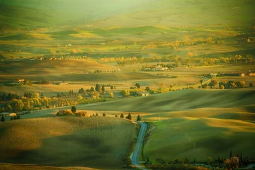 Foto op Canvas Wavy fields in Tuscany at sunset, Italy. Natural outdoor seasonal spring background. © Roxana