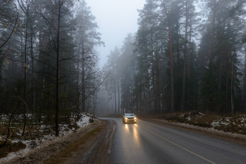 Obraz premium Туман в лесу