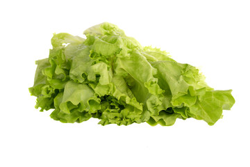 bundle of green leaves of lettuce