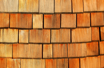 photo texture of the wood