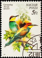 European bee-eater (Merops apiaster) on postage stamp