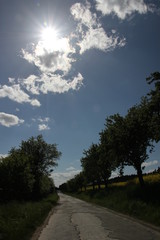 Fototapeta premium Side road in countryside with trees along