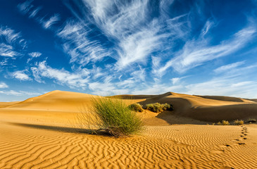 Fototapeta na wymiar Sand dunes in desert