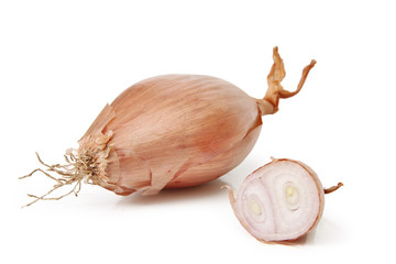 échalote