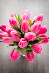 More tulip on the grey background.