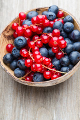 Fresh blueberries and red currant.
