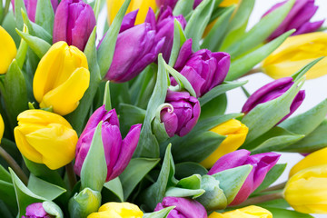 Purple and yellow tulip bouquet. More tulip on the grey backgrou