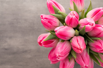 Obraz premium More tulip on the grey background.