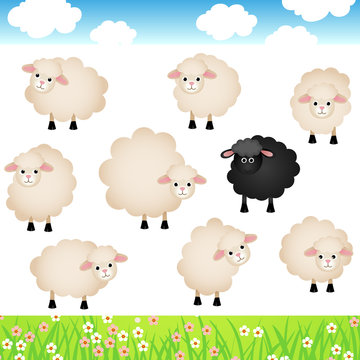 Cute Sheep Set
