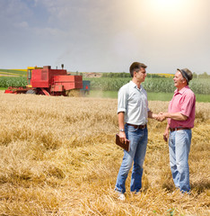 Naklejka na ściany i meble Men in the wheat field at harvest