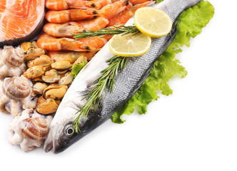 Seafood isolated on white