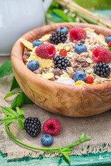 Healthy granola with berry fruits and milk