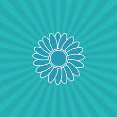 flower icon design 