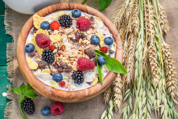Fresh muesli with berry fruits and milk in garden