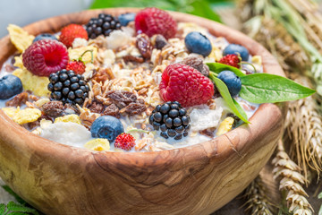 Fresh granola with berry fruits and milk in garden