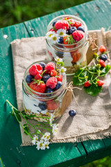 Tasty muesli with berry fruits and yogurt in garden
