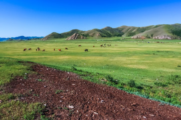 Central Mongolian steppe