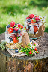 Fresh breakfast with yogurt and berry fruits in sunny day