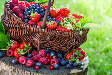 Naklejka na ściany i meble Fresh berry fruits in basket