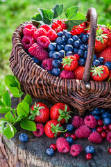 Healthy berries in garden