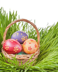 eggs in basket on green grass isolated. easter concept