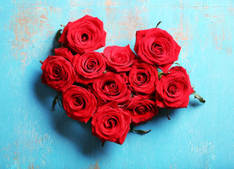 Fresh red roses buds in shape of heart on blue wooden background