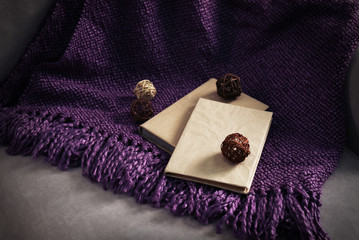 A soft blanket and books on the sofa. Peace and comfort concept