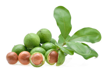 fresh macadamia nut on white background