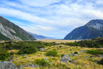 Fototapeta na wymiar meadow and mountain landscape in Mount Cook National Park