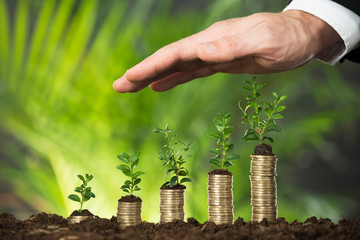 Person Hand Protecting Small Plant On Stacked Coins