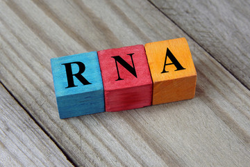 RNA (Ribonucleic acid) acronym on colorful wooden cubes - obrazy, fototapety, plakaty